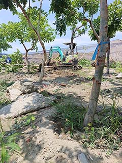 台南挖土機-台南市重劃樹木移植