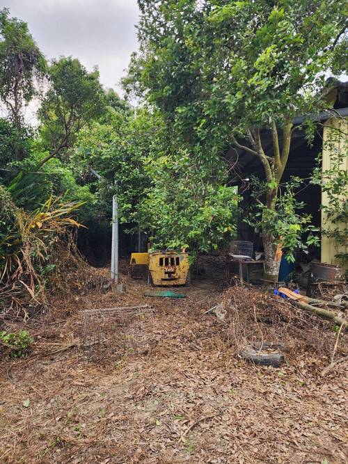 台南山上區整地