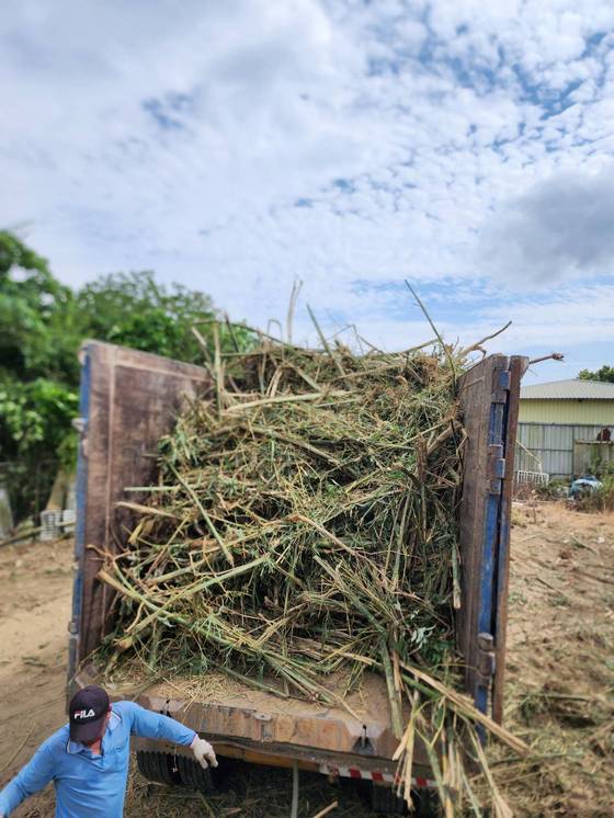 台南山上區整地