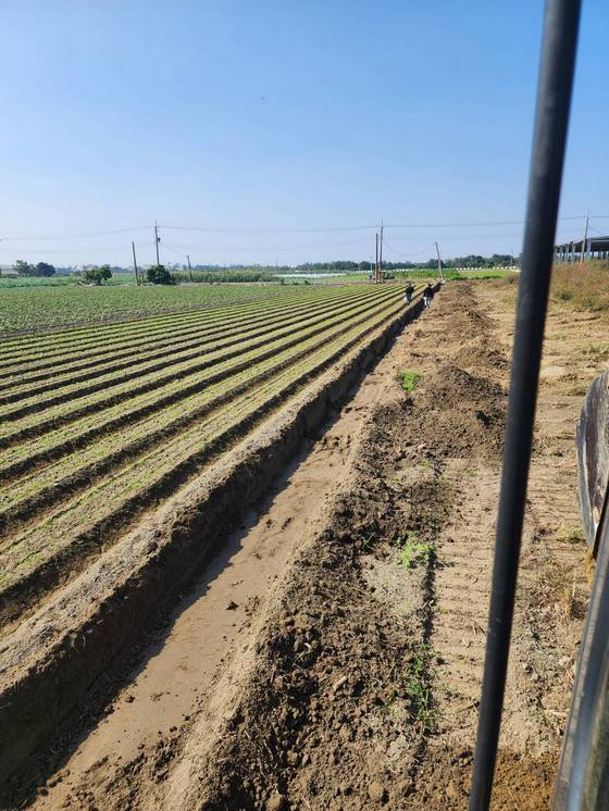 台南佳里基礎開挖