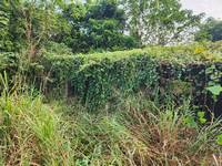 台南山上區舊屋拆除&nbsp;整地