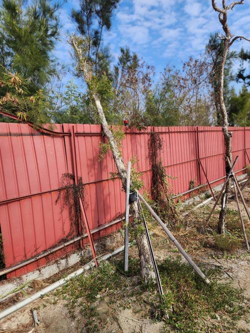 台南七股區怪手