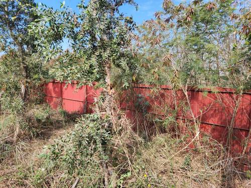 台南七股區怪手