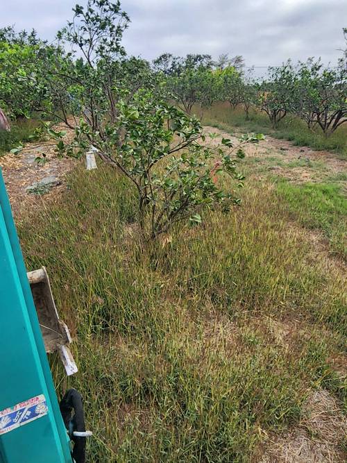 台南麻豆區怪手