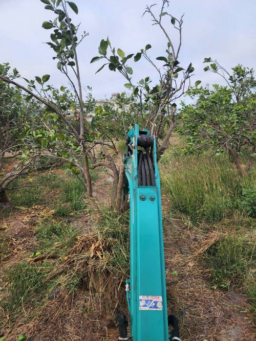 台南麻豆區怪手