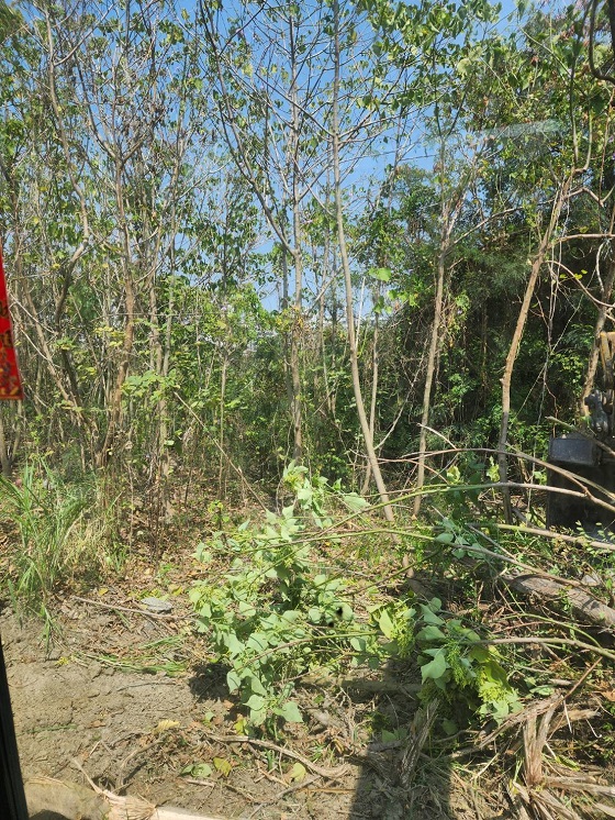 台南仁德區怪手