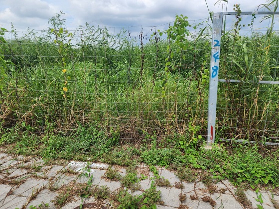台南善化區怪手整地