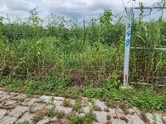 台南善化區大面積整地