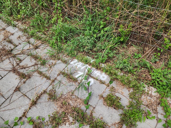 台南善化區怪手整地